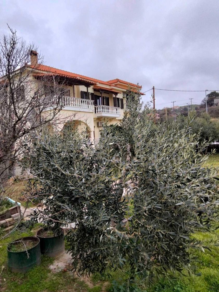 Σύγχρονα προφίλ PVC